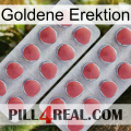 Golden Erection 19
